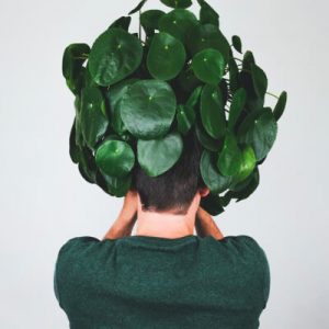 About Plants Store Gallery Img 3 300x300 1